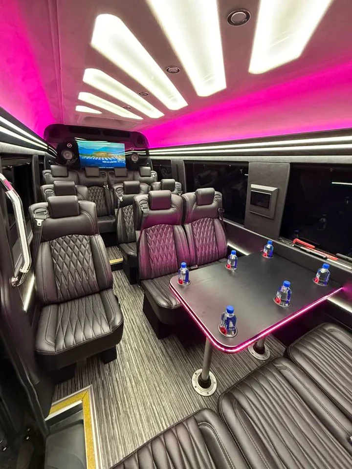 Executive Sprinter image 4
