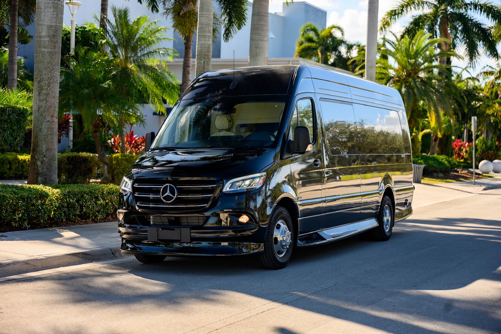 Jet Limo Sprinter image 1