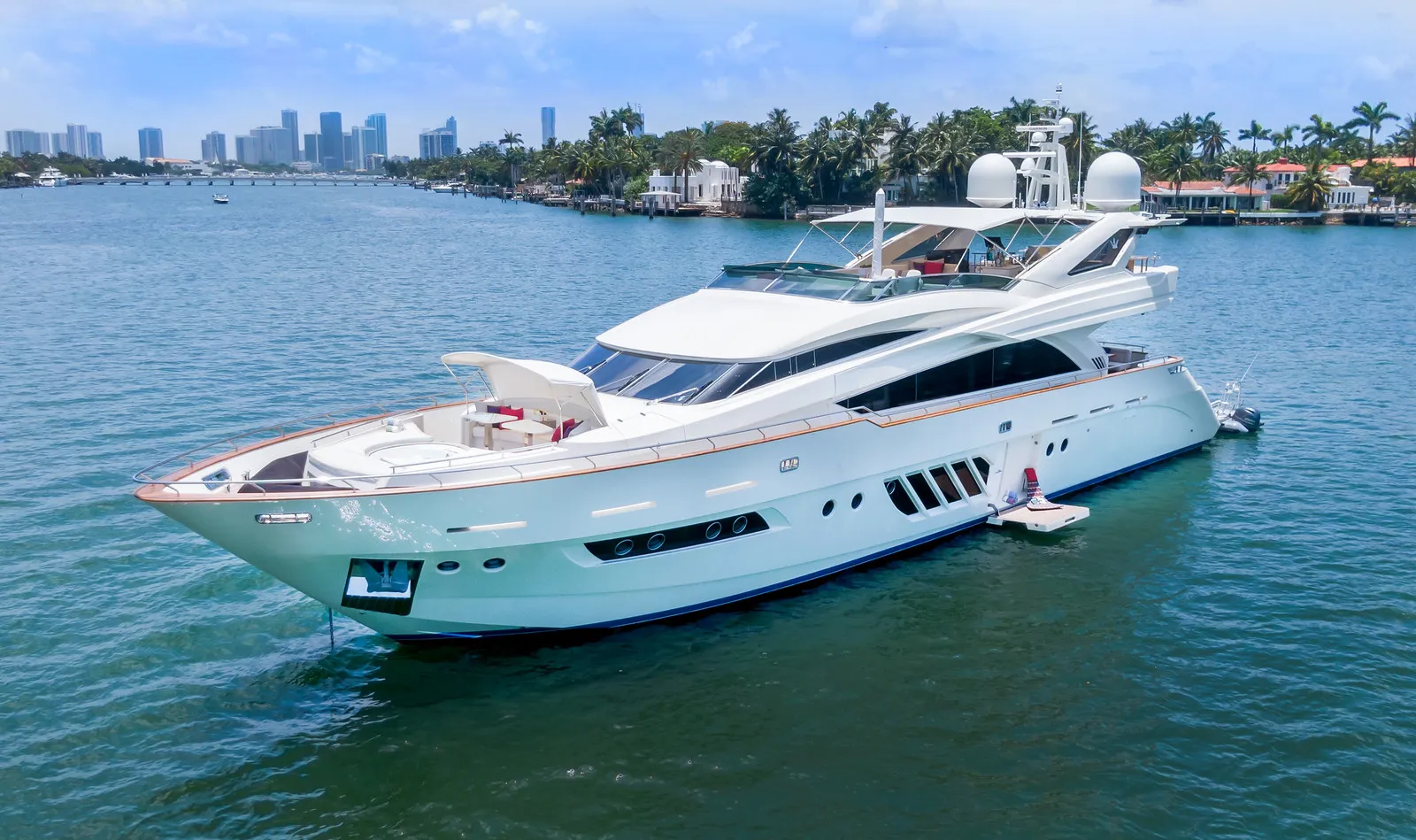 100' Dominator image 1